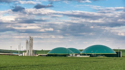 Proyecto futuro de una planta de biogás en Cervera