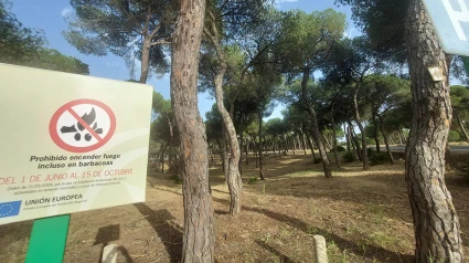 La Junta endurece las restricciones para prevenir incendios forestales este verano