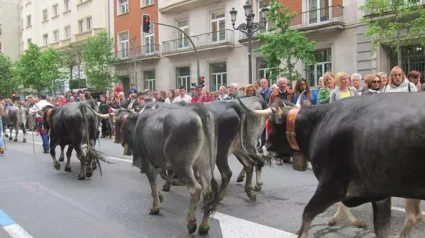 Momento de La Pasá de 2014 en Santander