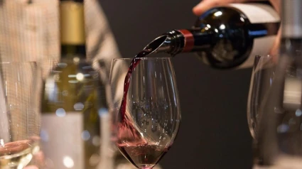 Copa de vino - EFE
