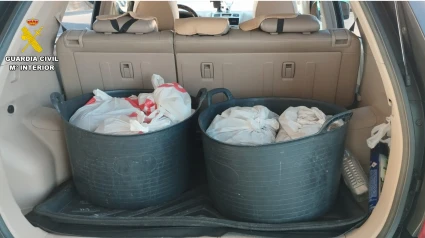 Pillados con cubos de pulpo en el coche