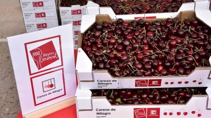 Cereza de Milagro
