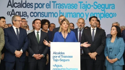 Intervención Arroyo