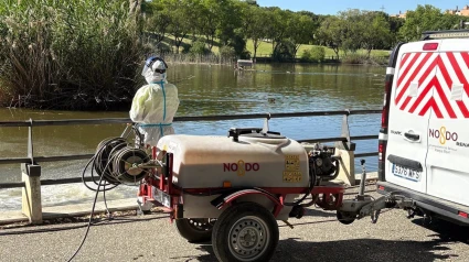 Refuerzo del tratamiento contra mosquitos del Virus del Nilo en Sevilla