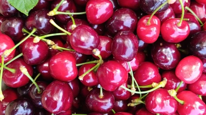 Cerezas de Villamalur