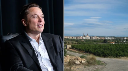 Elon Musk y el pueblo de Cheste