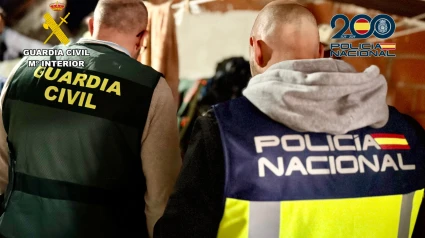 Policía Nacional y Guardia Civil.