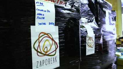 ONG Zaporeak