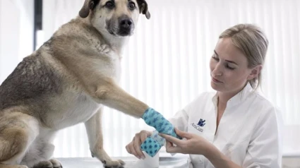 El colectivo veterinario sale a la calle en señal de protesta