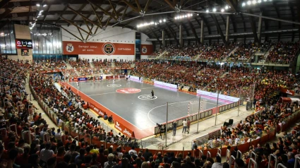 Imagen del Palacio lleno