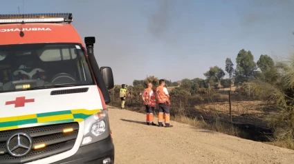 Cuatro unidades de bomberos forestales, dos medios aéreos y un SVB de Cruz Roja trabajan en la zona