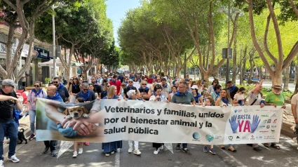 Manifestación