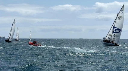 VELA LATINA CANARIA