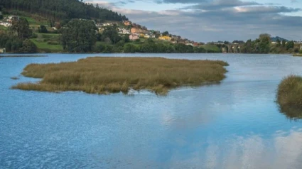 Río Landro