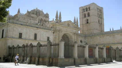 Un matrimonio visita la catedral de Zamora y descubre un tesoro que llevaba siglos a plena vista: nadie lo había notado
