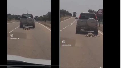 Un vídeo viral muestra a un conductor arrastrando a un animal atado a su coche en una carretera de Badajoz