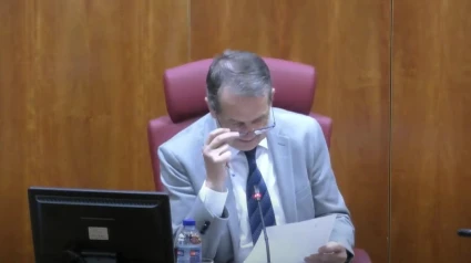 Abel Caballero durante el pleno