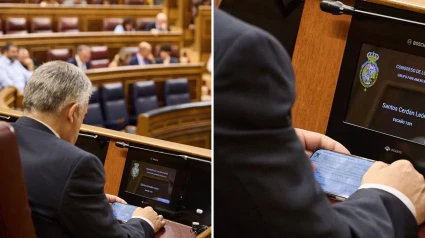 Santos Cerdán, en el Congreso