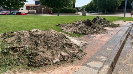 Los estragos del granizo: Clases canceladas, persianas agujereadas y aparición de grúas