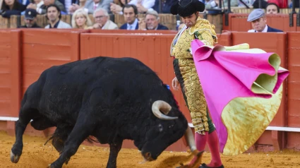 Carteles de primera para la Feria Taurina de Ciudad Real. Toma nota de los toreros, fechas y ganaderías