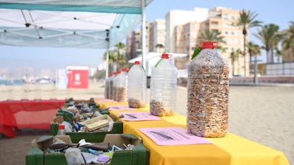 Proyecto Playa Sin Humos