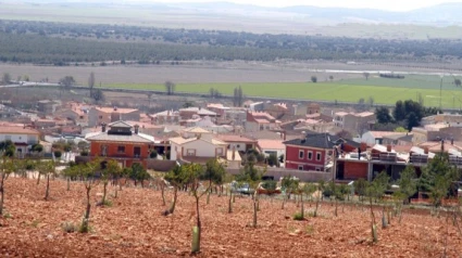 Un vecino de Albacete encuentra una misteriosa escultura abandonada a medio tallar y lo que revelan los expertos sorprende