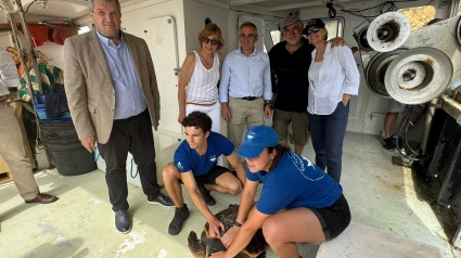 Suelta de tortuga en las playas de Xàbia