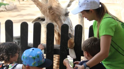 Un grupo de niños disfruta en las instalaciones del parque