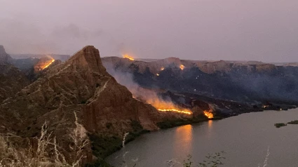 Incendio en Burujón