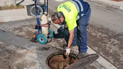 Acciones para evitar la proliferación de plagas en Almassora