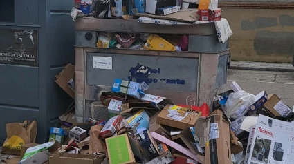 Contenedor en el Barrio del Carmen