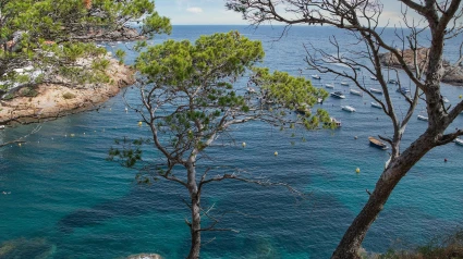 Cataluña nos espera con sus más de 580 kilómetros de costa repletos de playas y calas que parecen sacadas de un sueño