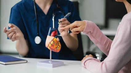 Maqueta de un corazón