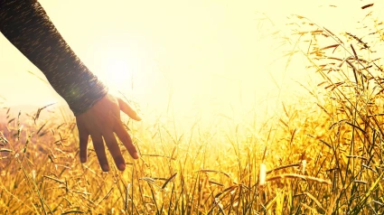 La reflexión semanal de Miguel Lechuga