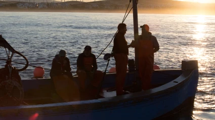 Varios pescadores durante la ‘levantá’ de Barbate