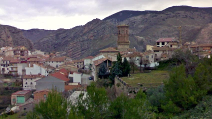 Viguera