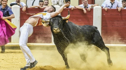 Espectacular corte en un concurso anterior
