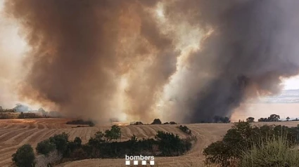 El incendio de un vehículo que se encontraba junto a un campo sin segar ha desatado este sábado un fuego que ha afectado a unas 45 hectáreas de vegetación agrícola