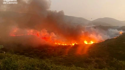 Incendio forestal en Atzeneta