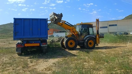 Retirada de hoguera