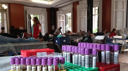 Donación sangre macro