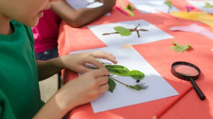 Campamento de Verano