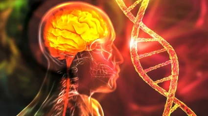 Cerebro y cadena de ADN
