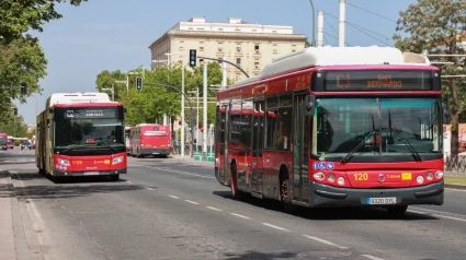 Archivo - Autobuses de Tussam