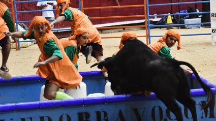 Un instante del grand prix taurino