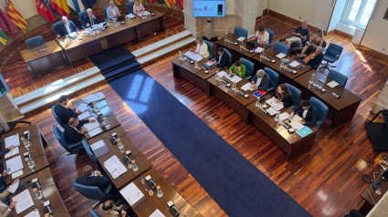 Pleno Diputación junio