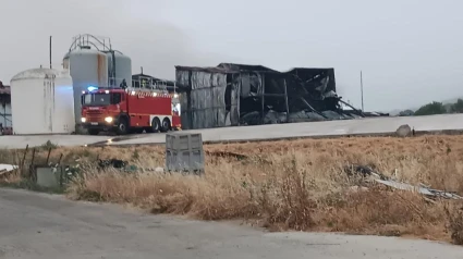 El matadero de Pollos Canos de Salvatierra ha quedado arrasado