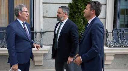 El presidente del PP, Alberto Núñez Feijóo (i) conversa con el presidente de VOX, Santiago Abascal