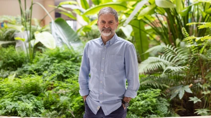 Francisco Galindo, catedrático responsable del proyecto