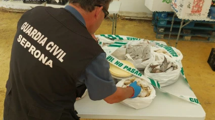 Guardia Civil con alimentos incautados en ferias de la provincia de Cádiz